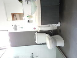 Euro-Asia Park (D13), Condominium #145930892